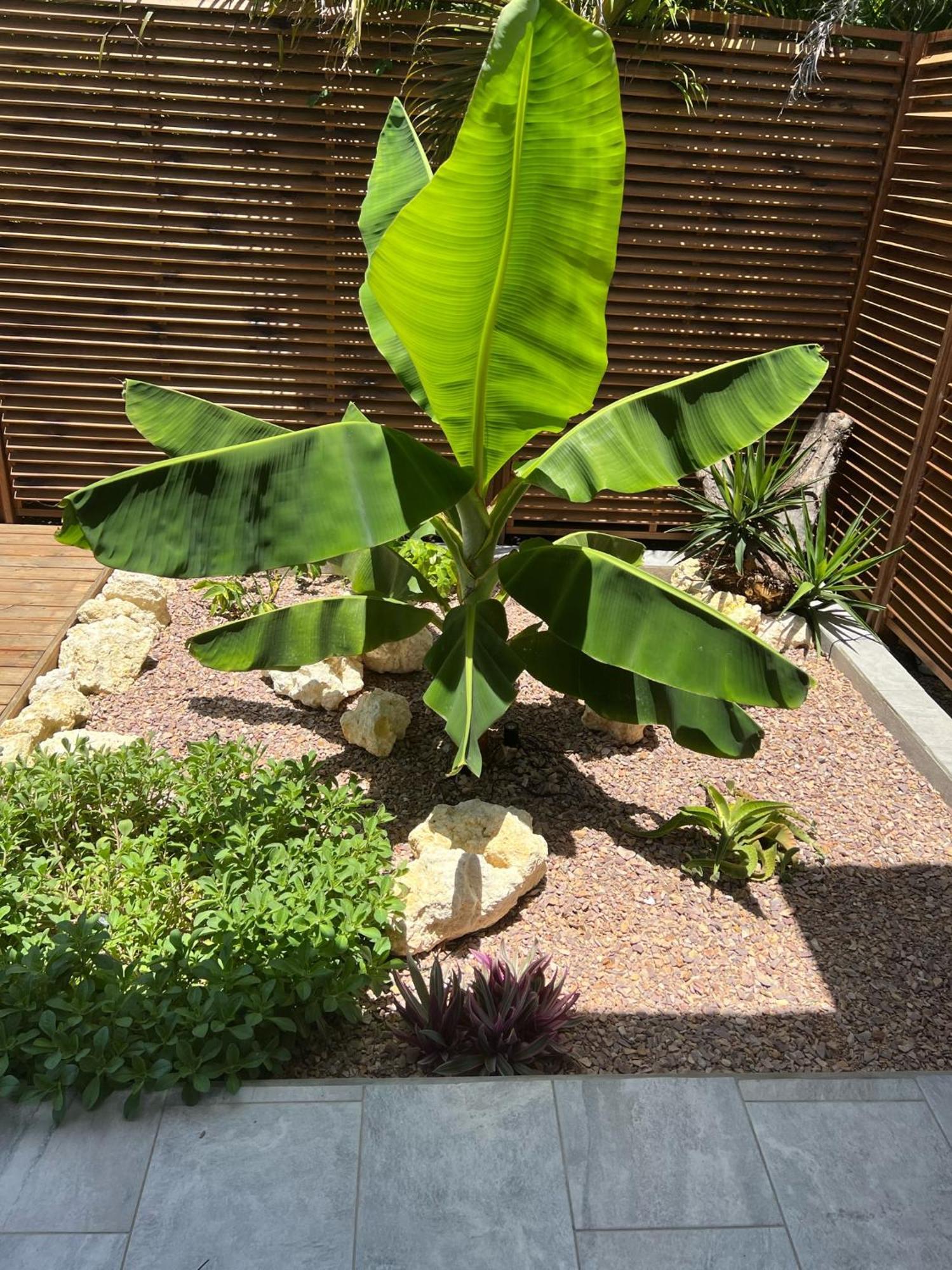 Villa Les Terrasses De Fonds Thezan 圣安尼 外观 照片